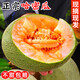正宗哈密瓜當(dāng)季現(xiàn)摘甜瓜新鮮水果西州蜜瓜玫瓏網(wǎng)紋冰淇淋香瓜整箱 9斤