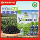 莓日悠果東北長(cháng)白山有機藍莓果干蔓越莓果干獨立小包裝無(wú)色素休閑零食袋裝 有機藍莓干250g*2袋