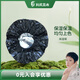 利尻昆布染發(fā)帽1個(gè)染發(fā)專用保濕保溫均勻上色顏色隨機(jī)在家染日本進(jìn)口