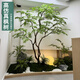 仿真綠楓樹(shù)雞爪槭枯山水盆景假樹(shù)落地擺件茶室室內綠植造景裝飾 來(lái)圖定制仿真樹(shù)