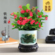 開時(shí)果 鐵海棠盆栽帶花發(fā)貨 虎刺梅四季開花卉植物盆景綠植源頭直發(fā)包郵 【鐵海棠】山水陶瓷盆+圓底托