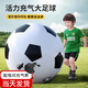 TaTanice充氣大足球戶(hù)外草坪沙灘玩具兒童足球巨型皮球幼兒園專(zhuān)用禮物 【加厚】60CM大足球+電動(dòng)充氣泵