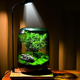 桌面創(chuàng)意微景觀綠植diy擺件禮物客廳辦公室夜燈苔蘚盆栽植物盆景 生命之樹（煙灰色）+木制燈座