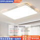 盛拉普照明 SHENGLAPU LIGHTING歐普照明（OPPLE）客廳吸頂燈燈具大全2025款客廳臥室燈餐廳燈室 [60W]方形60*40cm-無極調(diào)光