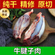 健康0添加】新鮮牛腱子肉5斤原切腱子肉鮮牛肉散養(yǎng)黃牛腱子肉冷凍 原切不添加牛腱子【1斤】
