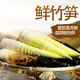 京覓四川蒲江明月雷竹筍凈重5斤裝單筍200g+特大筍 春筍新鮮現挖現發(fā)
