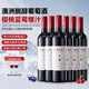 尚諾歌無(wú)醇原瓶進(jìn)口零度0度紅酒脫醇干紅葡萄酒葡萄汁雙11熱門(mén)商品婚宴 帕圖斯·零醇典藏脫醇6支裝