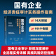 國有企業(yè)經(jīng)濟(jì)責(zé)任審計(jì)實(shí)務(wù)操作指南