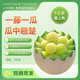 山東煙臺(tái)海陽魯厚甜網(wǎng)紋蜜瓜生鮮水果禮盒源產(chǎn)地直發(fā)LSJD送貨到家 凈重7.5-8斤【2顆】