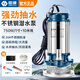 臣源不銹鋼潛水泵220V家用井水抽水泵農(nóng)用清水污水泵小型高揚(yáng)程排污泵 750W/1寸不銹鋼清水泵+10米線