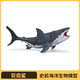 wiben仿真海洋生物史前巨齒鯊模型動(dòng)物大白鯊玩具雙髻鯊錘頭鯊兒童禮物 巨齒鯊 嘴巴可閉合 新款
