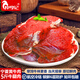 仲亨記生鮮牛肉 寧夏黃牛肉 原切牛肋條牛腱子牛仔骨牛腩肉牛肉禮盒 【爆炒不柴】5斤寧夏黃牛肉腿肉