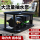 邁越（MAIYUE） 農(nóng)用灌溉充電式抽水泵抽水機菜地澆水機電動澆菜神器大功率 12V12A鋰電池+10米出水管