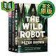 荒島機(jī)器人三冊(cè)套裝 英文原版 The Wild Robot 彼得·布朗 Peter Brown 英文版
