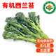 【順豐】有機(jī)西蘭苔 甜桿蘆筍西蘭花時(shí)令蔬菜脆嫩清甜健康蔬菜 2.4斤 精選