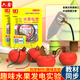 六鑫水果電池化學(xué)實(shí)驗器材初中生禮物科學(xué)實(shí)驗文具實(shí)驗室男孩女孩開(kāi)學(xué)季必備用品生日禮物文具