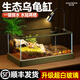 寵小帥烏龜飼養缸水陸兩棲生態(tài)烏龜缸桌面造景爬臺客廳養龜缸超白玻璃缸 【叢林景觀(guān)套餐】六大豪禮 【大號】60x37x26cm