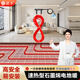 思予電地暖石墨烯碳纖維發(fā)熱線電纜智能全套地暖設(shè)備全屋系統(tǒng)養(yǎng)殖家用 1組適用于1.5㎡