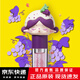 歐樂(lè )萌【品牌店】歐樂(lè )萌兒童潤唇膏唇蜜滋潤保濕護唇無(wú)色唇油旗艦 活力葡葡*1