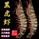 LZJV進(jìn)口黑虎蝦高品質(zhì)活凍黑虎蝦大蝦類(lèi)超大老虎蝦海鮮水產(chǎn)可配禮盒 20-24厘米13只 1000g(凈重)