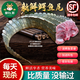 柳紅鮮鱷魚(yú)生鮮肉 新鮮現殺整條鱷魚(yú) 鱷魚(yú)尾 鱷魚(yú)掌 鱷魚(yú)身段整只鱷魚(yú)腿 【2斤】新鮮鱷魚(yú)尾