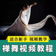 捷速優(yōu)禪舞視頻教程全教學(xué)套零基礎(chǔ)入門到精通新手技巧培訓(xùn)學(xué)習(xí)課程U盤 禪舞入門到精通全部?jī)?nèi)容【u盤】