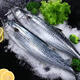 深海馬鮫魚(yú)新鮮冷凍正宗大鲅魚(yú)海鮮400-500克/條 馬鮫魚(yú)1條