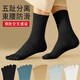 浪莎男士襪子五指襪純棉高筒男襪防臭襪秋冬季透氣全棉抗菌長(cháng)筒分趾襪 黑色 6雙 均碼