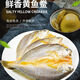 免殺免洗開背大黃魚鲞醇香調(diào)味小黃花魚鲞品質(zhì)深海養(yǎng)殖黃魚批發(fā) 開背大黃魚【每條500-600克】 【三條裝】免殺免洗