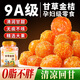 草木方 甘草金桔干500g【精選大果】金桔干無添加化痰咳 戒煙零食小吃