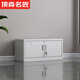頂淼名匠辦公室文件柜鐵皮柜資料柜財(cái)務(wù)憑證收納儲(chǔ)物柜帶鎖頂柜單節(jié)檔案柜