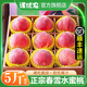 譯優(yōu)農【順豐】正宗春雪水蜜桃當季水果桃子現摘新鮮水蜜桃時(shí)令生鮮整箱 凈重5斤大果【12-13個(gè)】彩箱