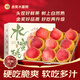 沐小七果蔬 春雪水蜜桃 新鮮桃子【JD順豐】軟桃當季水果老樹(shù)甜毛桃 7A精選特大果【單果150-200g】 3斤裝【超值裝-雙人爽吃】
