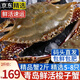 【活蟹發(fā)貨不包活】青島梭子蟹特大鮮活螃蟹海蟹飛蟹母蟹公蟹蟹類 順豐鮮活發(fā)-特大梭子蟹2斤5-8只 鮮活發(fā)貨