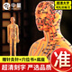 中量針灸人體模型十二經(jīng)絡(luò)穴位圖真人版中醫(yī)銅人可扎針小皮人全身經(jīng)脈 【扎針軟款】銅色女模 62cm