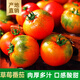 京地達草莓西紅柿山東草莓西紅柿 凈重3斤 單果60g+源頭直發(fā)包郵