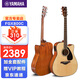 雅馬哈（YAMAHA）吉他初學(xué)者民謠單板FG800入門電箱木吉他新手學(xué)生男女練習(xí)考級(jí) 41英寸原木色FGX800C電箱+配件