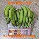 廣東高州新鮮香蕉3-9斤自然熟水果原生態(tài)小香蕉生蕉發(fā)貨自行催熟 9.3斤小香蕉約38-55根