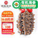 宮品品惠 有機(jī)即食海參  底播遼刺參免發(fā)泡  凈重500g 即食海參 500g 16-25只 每日一參