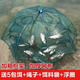 天龍紋地網(wǎng)龍蝦網(wǎng)魚蝦網(wǎng)籠魚網(wǎng)籠不出只進漁網(wǎng)捕魚黃鱔籠泥鰍地網(wǎng)魚網(wǎng) 4進口帶1包餌料+拉繩