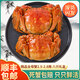 【活蟹】陽澄游大閘蟹鮮活全母蟹 螃蟹現(xiàn)貨海鮮禮盒 精品全母蟹2.5-2.8兩 八只禮盒