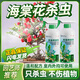 一滴粘海堂花殺蟲(chóng)劑海棠生蟲(chóng)紅蜘蛛用藥滅四季樹(shù)有蟲(chóng)害治花卉膩蟲(chóng)長(cháng)蟲(chóng)子 海棠花殺蟲(chóng)劑500ml*2瓶
