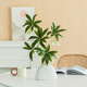 花點(diǎn)馨意仿真花水石榕裝飾擺件室內客廳仿真植物花卉綠植帶酒樽花瓶6520