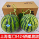 上海南匯8424西瓜單果大果新鮮麒麟瓜紅壤西瓜皮薄脆甜多汁 7斤