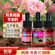 施奇悅季月季花套餐殺蟲劑病蟲害常用藥白粉黑斑病玫瑰紅蜘蛛蚜蟲專用