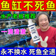 魚缸清洗神器魚缸水質(zhì)凈化劑魚缸凈水劑50年不換水去綠去黃水神器 一瓶裝【150ml】魚缸水質(zhì)凈化劑