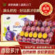 京農鮮新疆大西梅自然熟了鮮果陽(yáng)光非無(wú)核西梅多多汁孕婦干特級水果便秘 精選3斤凈重  蕞劃算單果20-25g