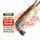 混元獸蝦類羅氏蝦大頭蝦 3斤沼蝦國產(chǎn)淡水蝦特大超大活凍海鮮 超大 羅氏蝦 2.4斤(凈重)  14-16cm