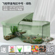 寵尚天 烏龜缸別墅生態(tài)飼養箱小烏龜活物活體龜盆寵物龜中華草龜 【帶蓋】中號龜缸 綠+大禮包+2龜