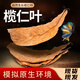 添悅天然大片欖仁葉魚(yú)缸水質(zhì)PH調節泰國斗魚(yú)小型魚(yú)造景降低水質(zhì)酸度 精品欖仁葉20片裝